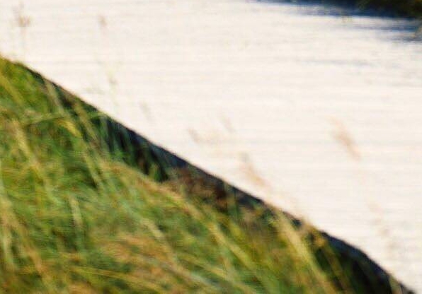 粉象生活可以赚钱吗