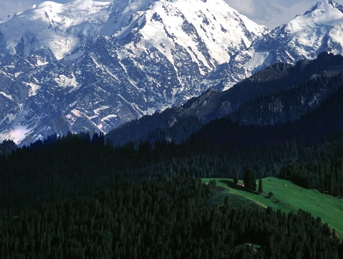 粉象生活宣传广告