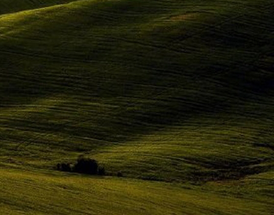 粉象生活怎么做任务