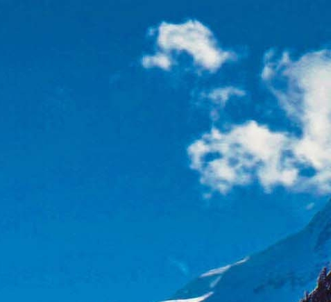 如何加入粉象生活推广