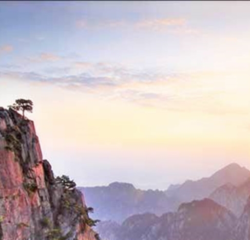 粉象生活收益能提现吗