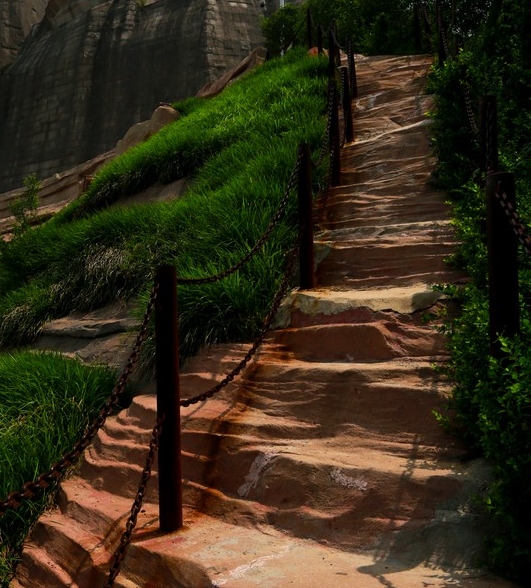 深圳粉象生活推广