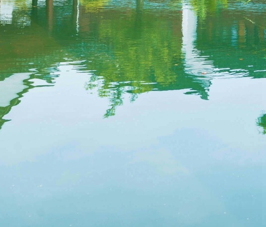 粉象生活在北京