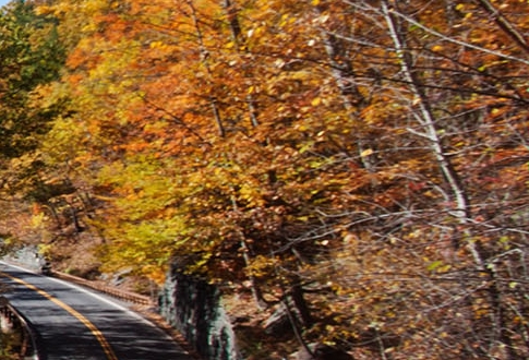 粉象生活瓜分现金是真的吗