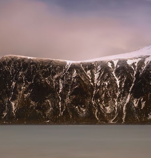 怎样进入粉象生活
