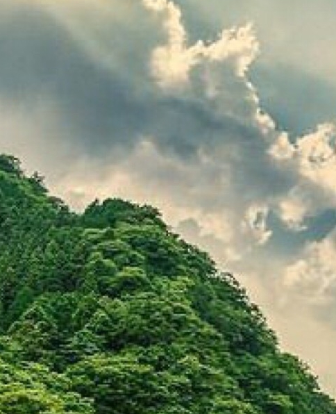 辽宁东象集团有限公司