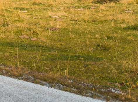 粉象生活多少积分是一元钱