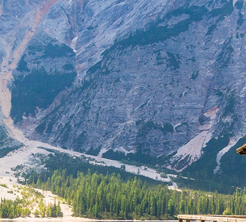 粉象生活申请条件