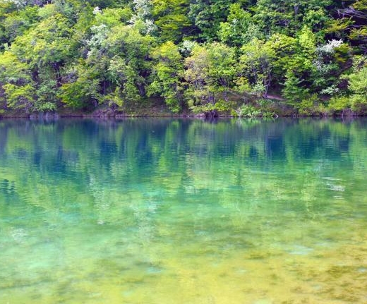粉象生活三代模式是真的吗