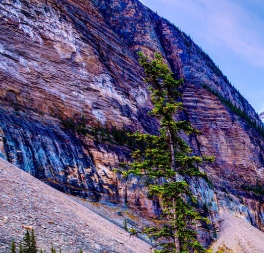 粉象生活的店铺名字