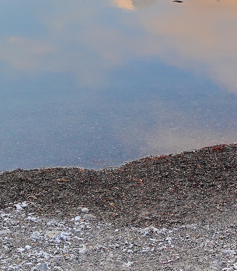 如何用粉象生活做闲鱼