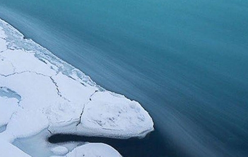 粉象生活提交答案