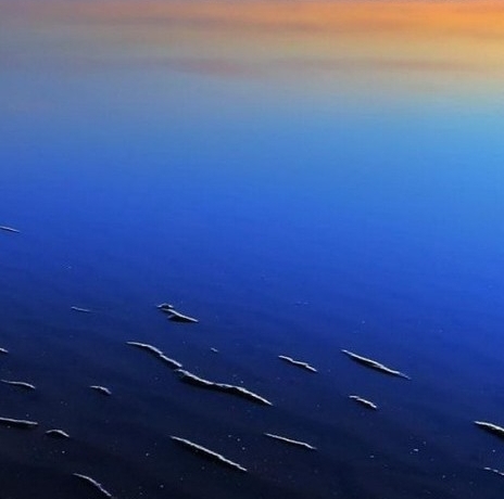 亳州粉象生活入驻如何做