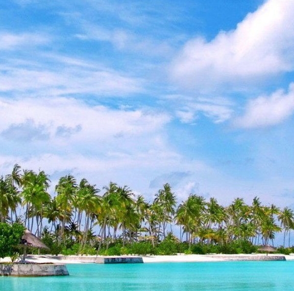 湖南品质粉象生活app