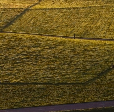 粉象生活是东西好不好