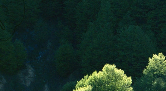 粉象生活邀请赚钱