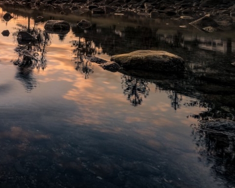 粉象生活佣金利润表