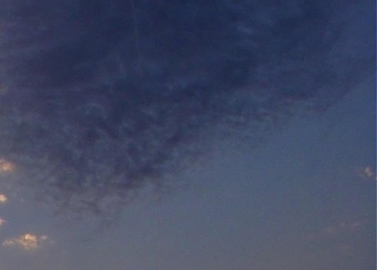 湖北楚象供应链