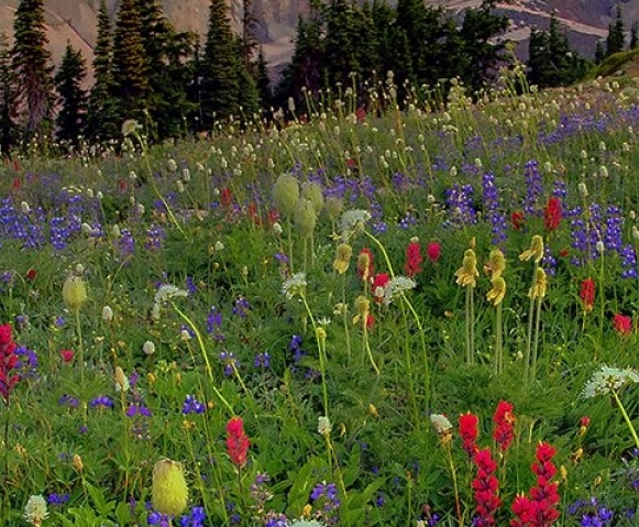 粉象生活返佣是真的吗