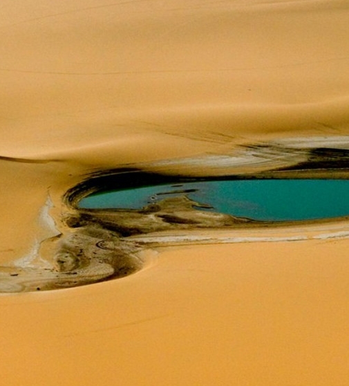 枣庄粉象生活收费