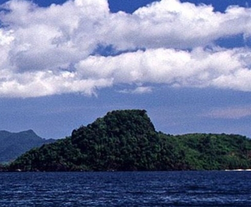 浙江染粉发女研究生
