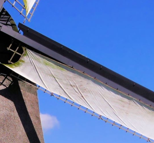 福建新一代辣椒粉