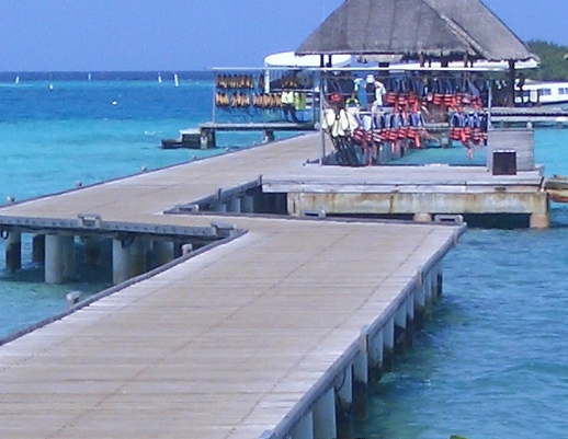 珠海粉象生活推广