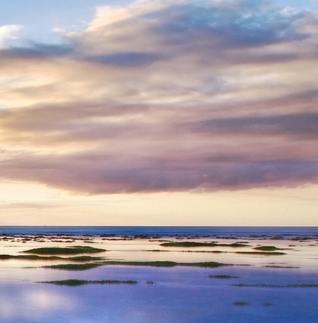爱客宝和粉象生活粉象生活