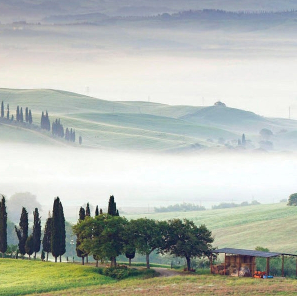 菏泽粉象生活加盟网站