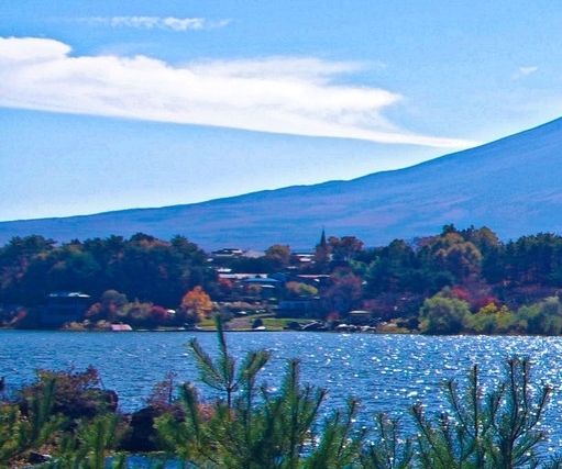 粉象生活赚钱教程