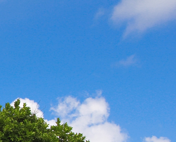 粉象生活可以赚钱吗