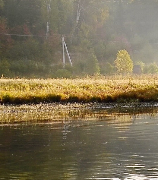 龙岩最低生活保障