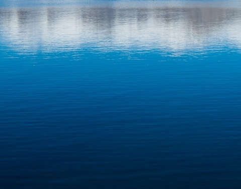 粉象生活粉象生活