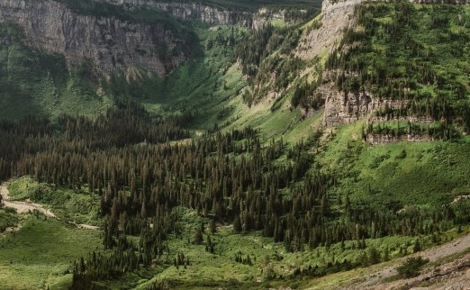 粉象生活羊毛好吗