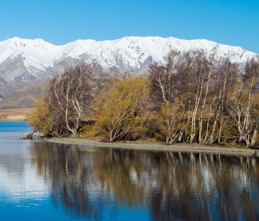小红书多少粉丝可以开店