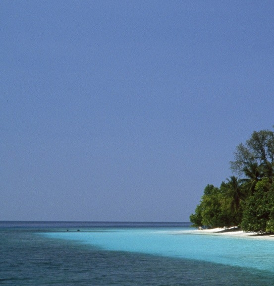 长毛大象阅读题答案