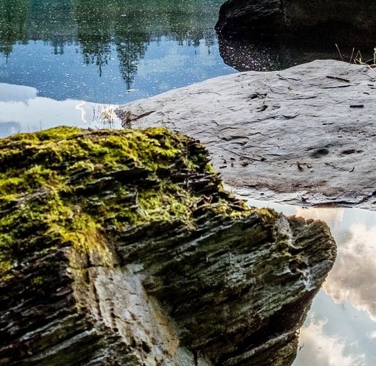 用粉象生活加油有收益吗
