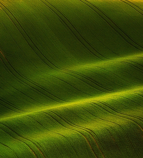 泉州粉象生活推广