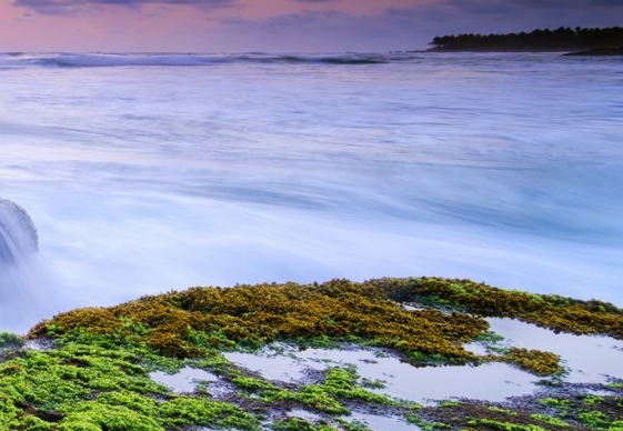 粉象生活邀请码