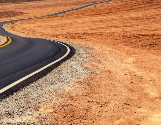 粉象生活的创业故事