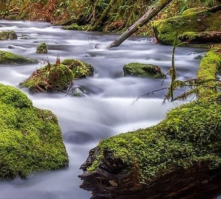 如何加入粉象生活推广