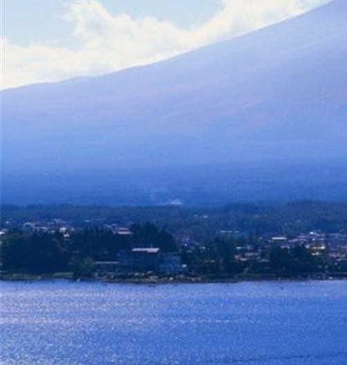 浙江app粉象生活