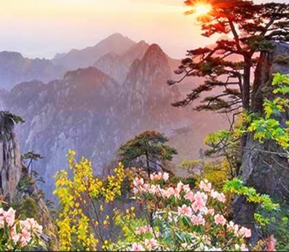 粉象生活代理模式