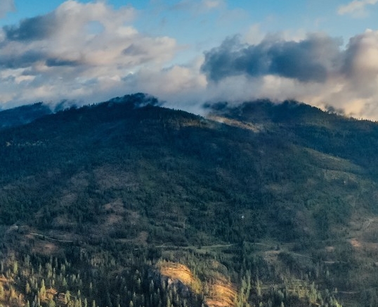 粉象生活vip邀请码