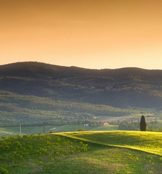 粉象生活可以赚钱吗