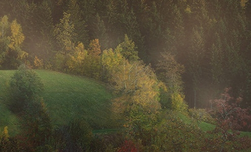 粉象生活摆摊货源