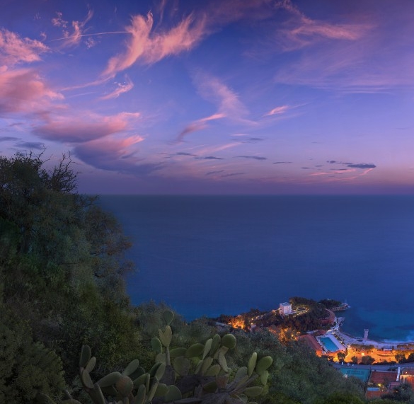 粉象生活信用代码