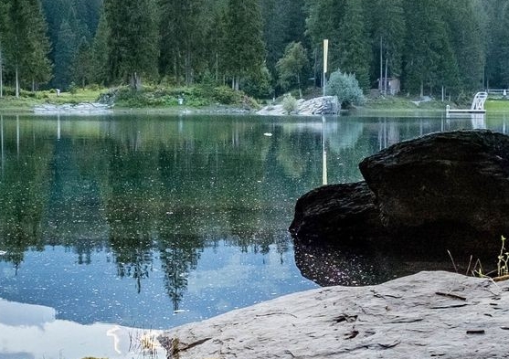 粉象生活买东西便宜吗?