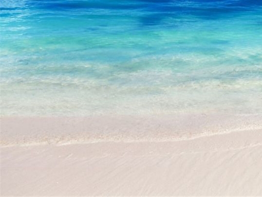 粉象生活推广教程