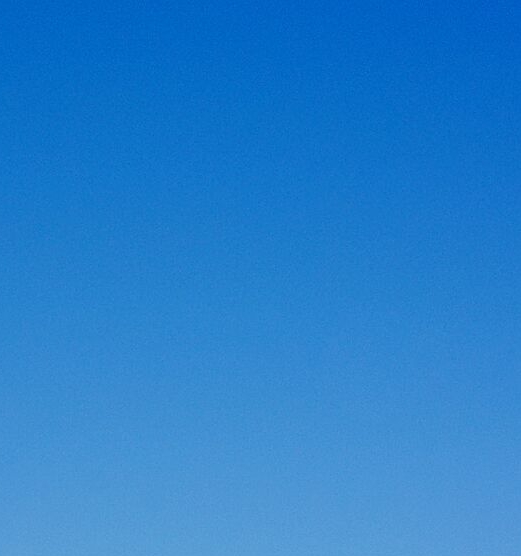 粉象生活创业攻略